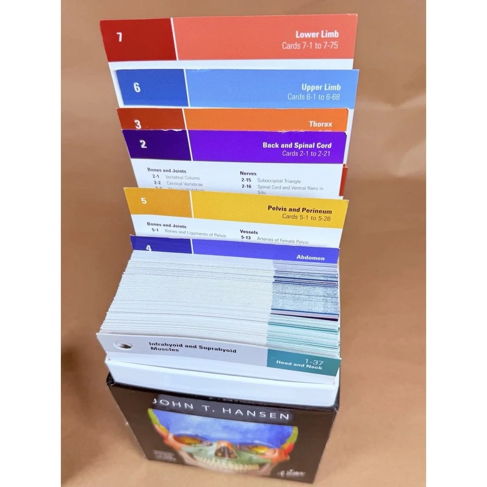 Netter's Anatomy Flash Cards 6th Edition John T Hansen Elsevier Medical Study
